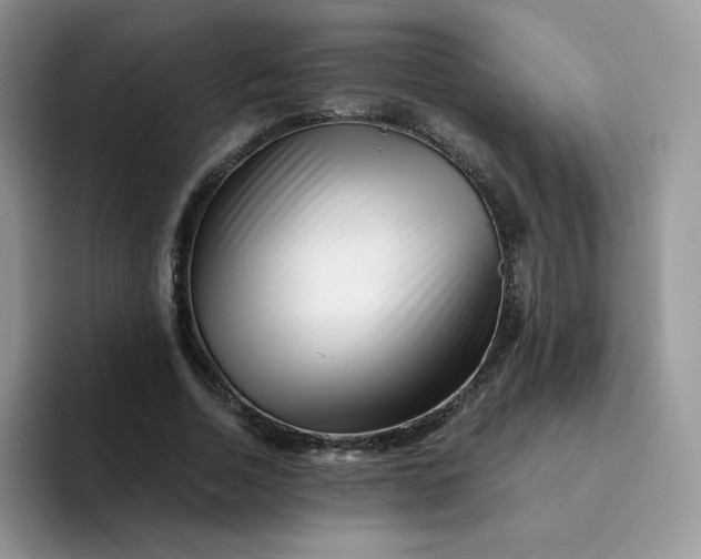 X0000094200730200711091218