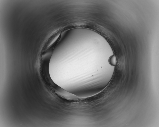 X0000094200732200711091219