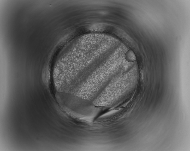 X0000094200733200711091219