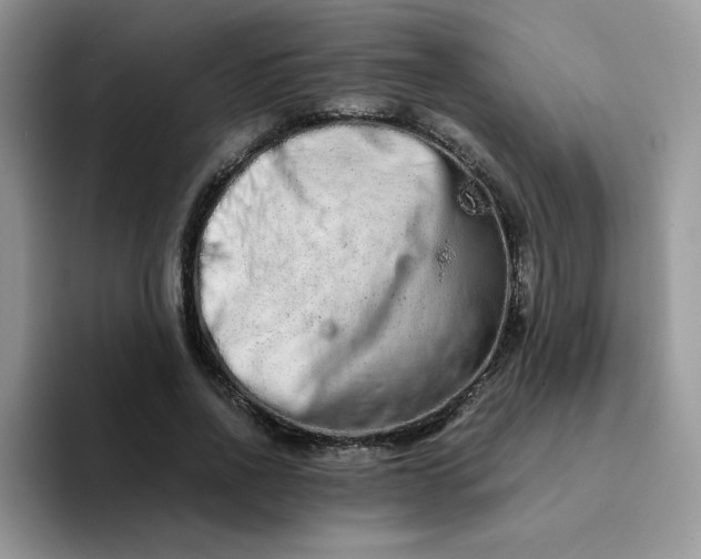 X0000094200734200711091219