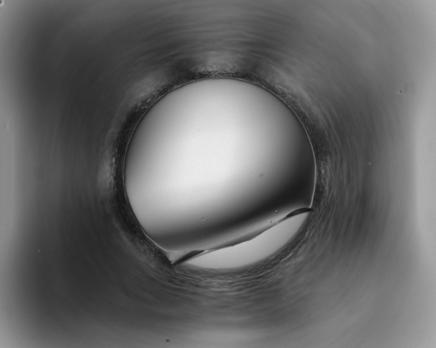 X0000094200735200711091219