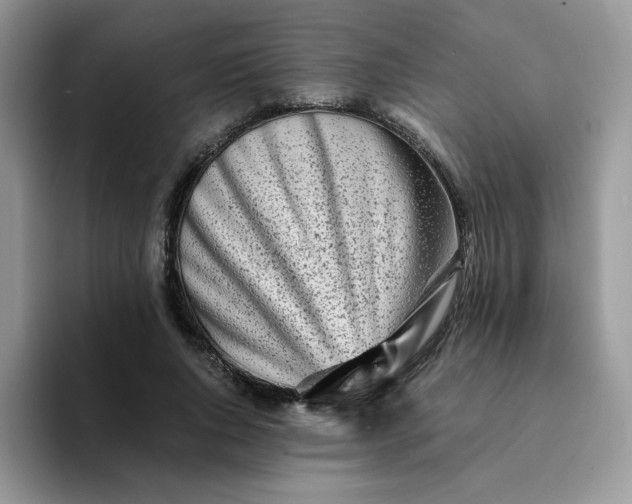 X0000094200736200711091219