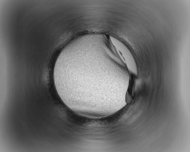 X0000094200738200711091219