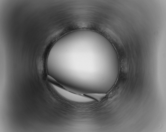 X0000094200740200711091219