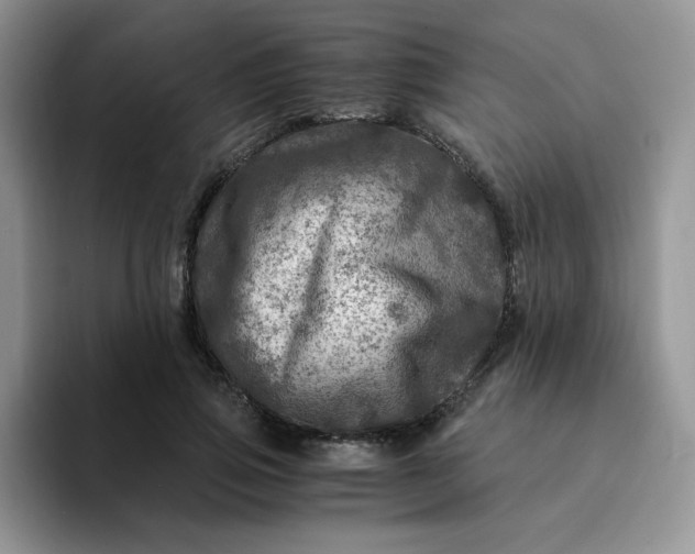 X0000094200741200711091219