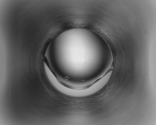 X0000094200742200711091219