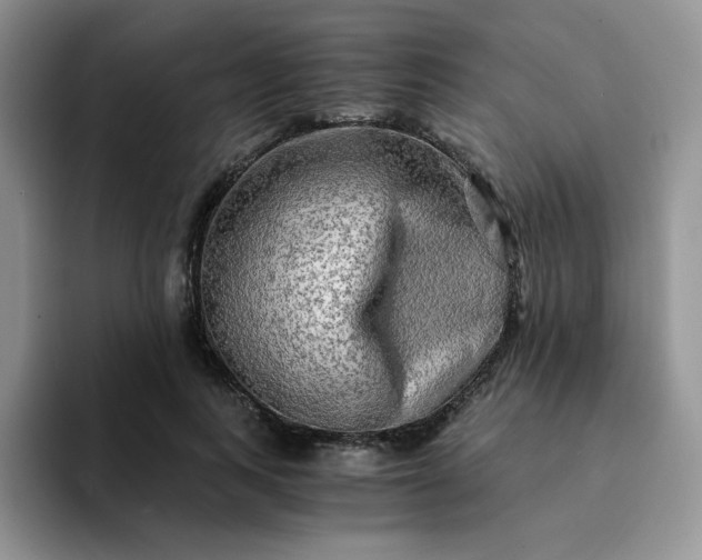 X0000094200743200711091219