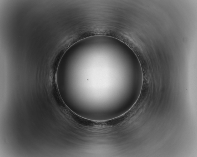 X0000094200744200711091219