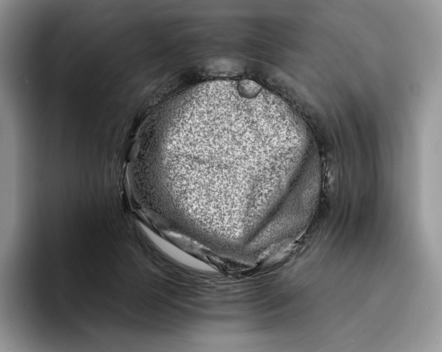 X0000094200745200711091219