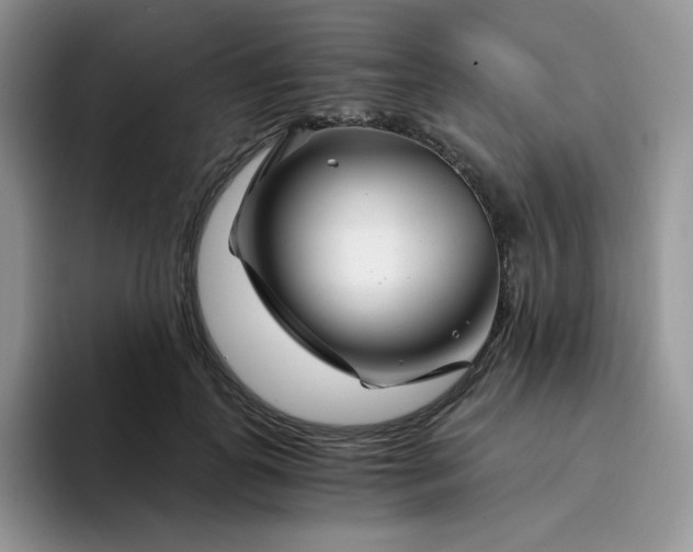 X0000094200747200711091219