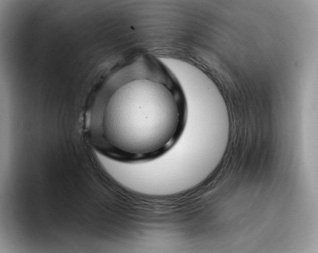 X0000094200748200711091219