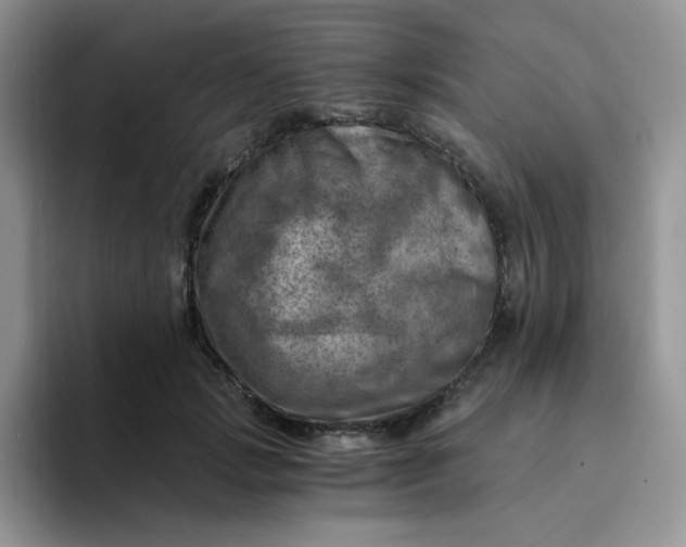 X0000094200749200711091219