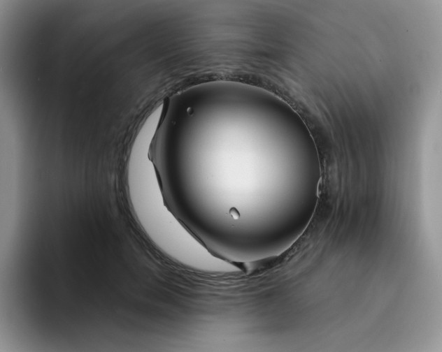 X0000094200750200711091219