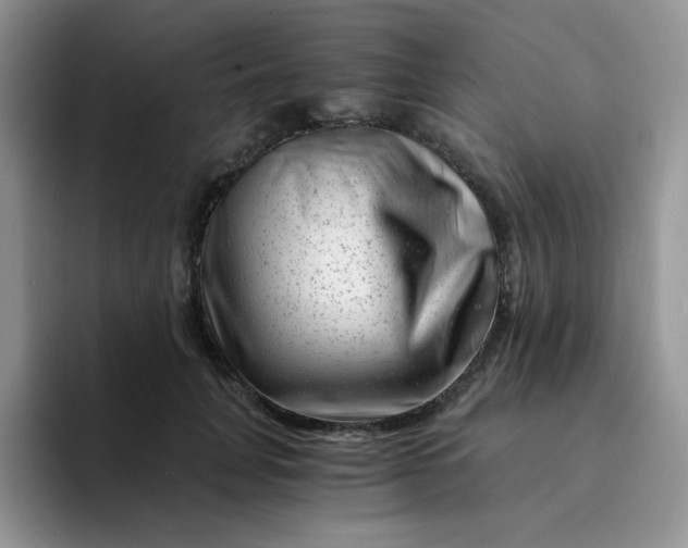 X0000094200751200711091219