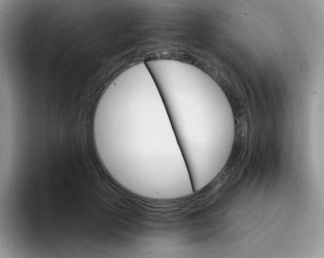 X0000094200754200711091219