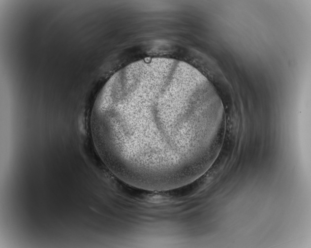 X0000094200755200711091219