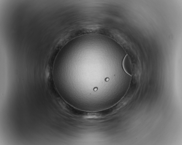 X0000094200758200711091219