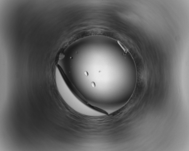 X0000094200759200711091219