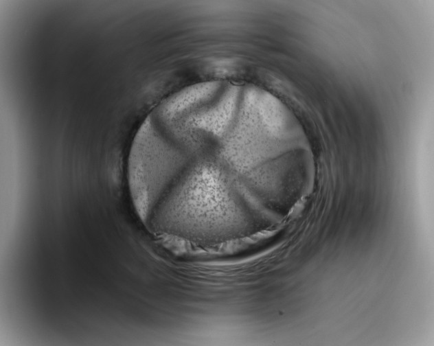 X0000094200760200711091219