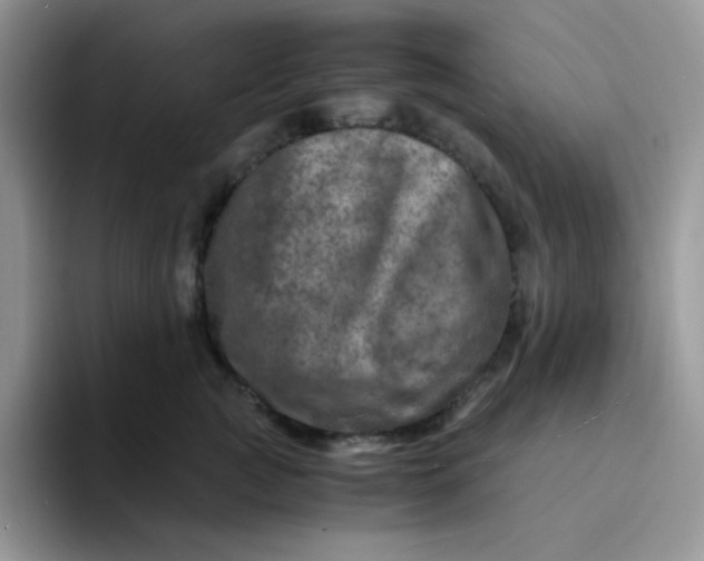 X0000094200761200711091219