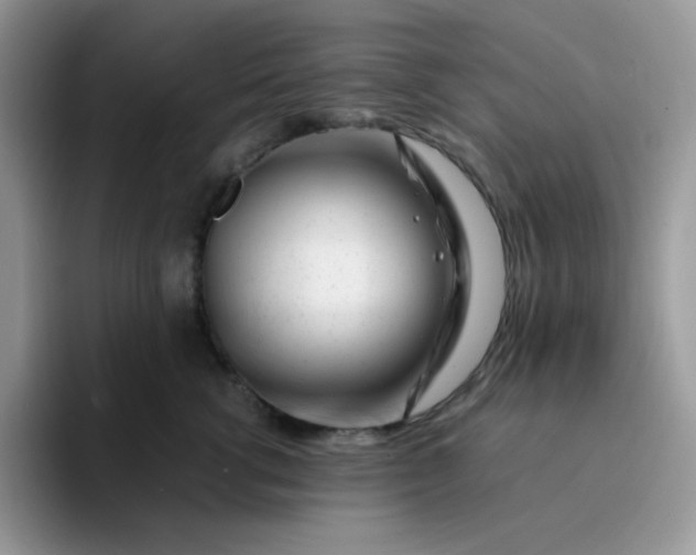 X0000094200762200711091219