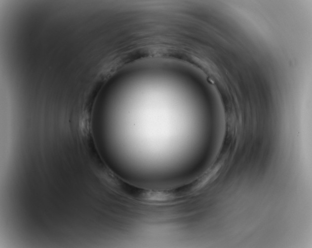 X0000094200766200711091219