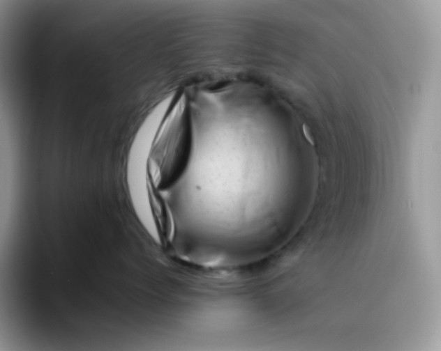 X0000094200768200711091219