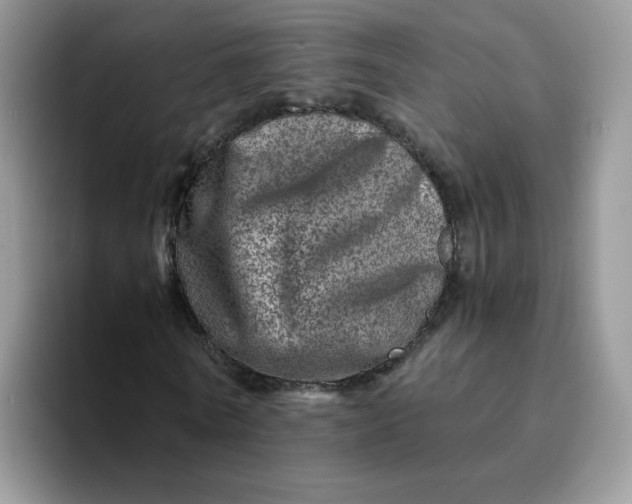 X0000094200770200711091218