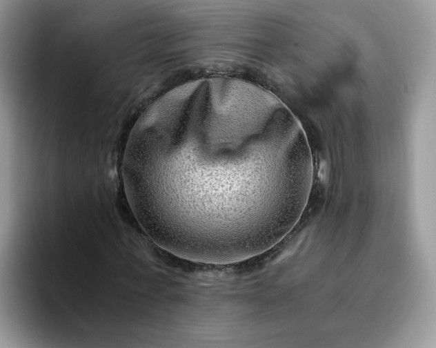 X0000094200771200711091218