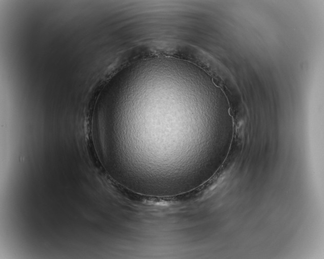 X0000094200772200711091218