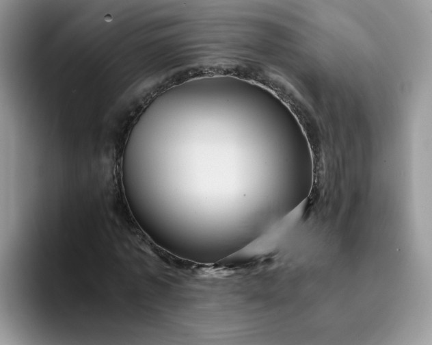 X0000094200773200711091218