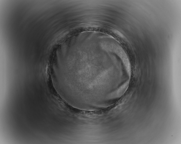 X0000094200774200711091218