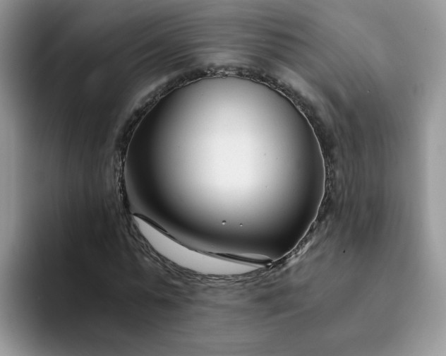 X0000094200775200711091218