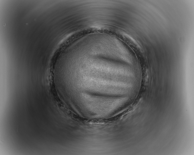 X0000094200776200711091218