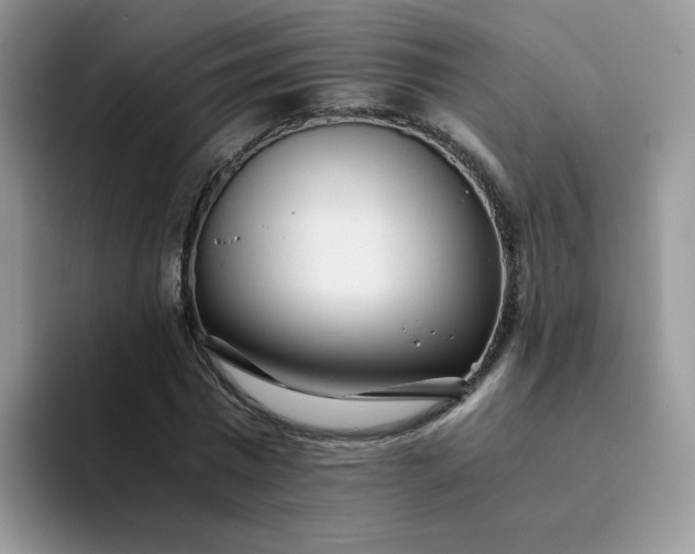 X0000094200777200711091218