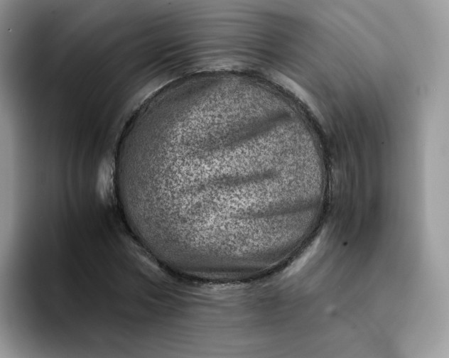 X0000094200778200711091218