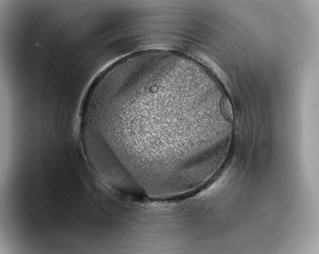 X0000094200779200711091218