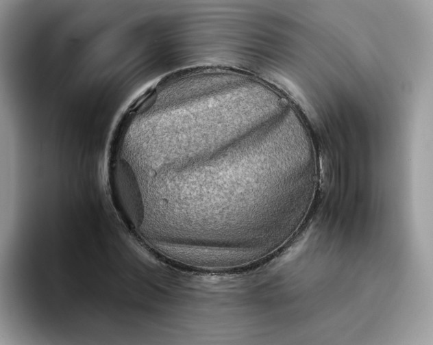 X0000094200780200711091218