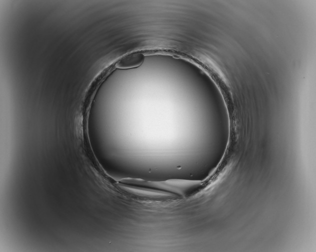 X0000094200781200711091218