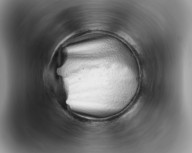 X0000094200782200711091218