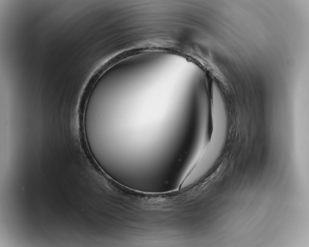 X0000094200784200711091218