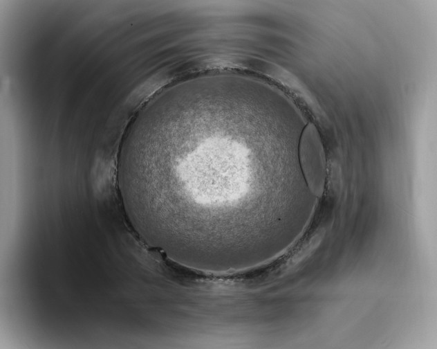 X0000094200785200711091218