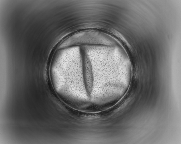 X0000094200786200711091218