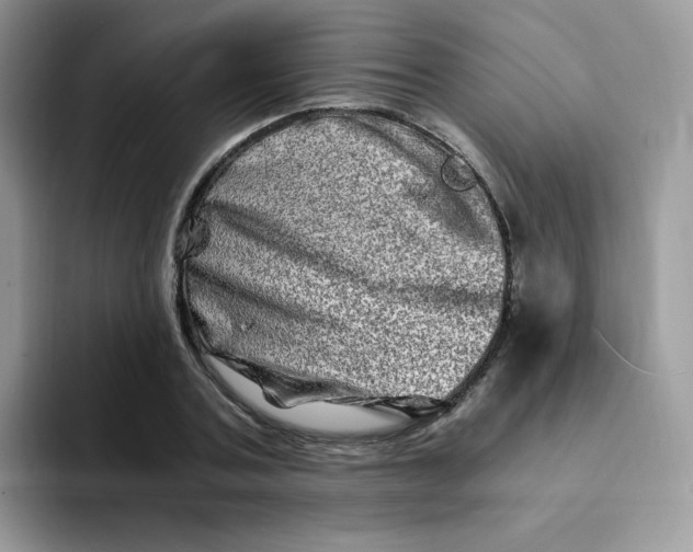 X0000094200787200711091218