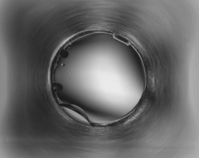 X0000094200788200711091218