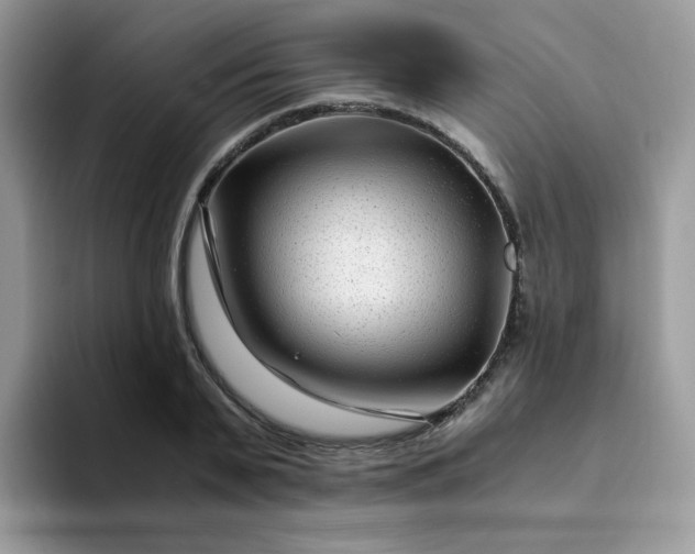 X0000094200791200711091218