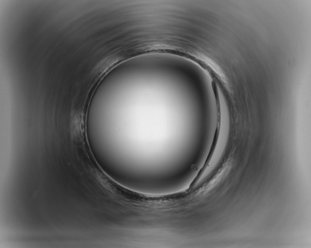 X0000094200793200711091218