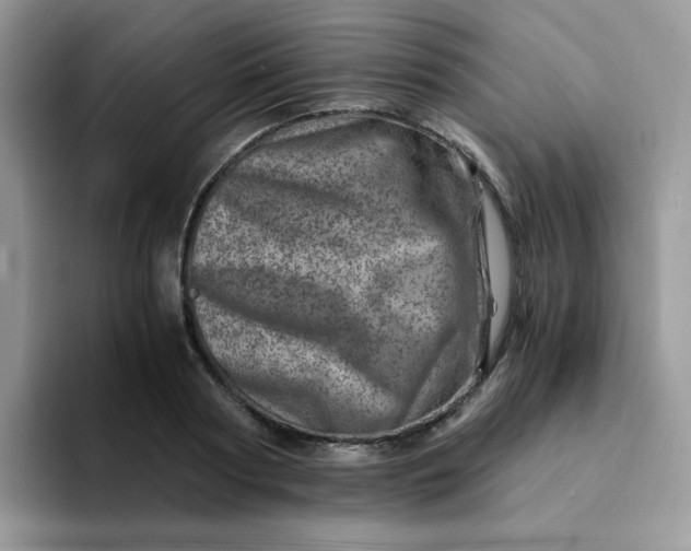 X0000094200794200711091218