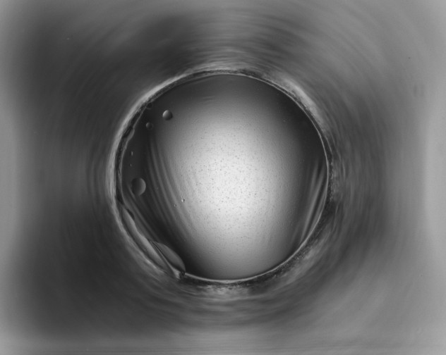 X0000094200795200711091218