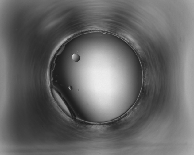 X0000094200796200711091218